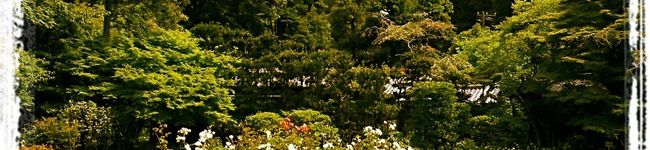 まにゃみんちょ's header image