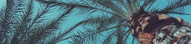 Jane’s kitchen's header image