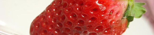 sizuka28's header image