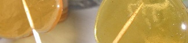 cyami's header image