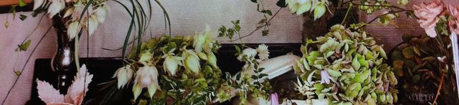 kumicunn's header image