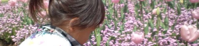 鎌倉食堂's header image