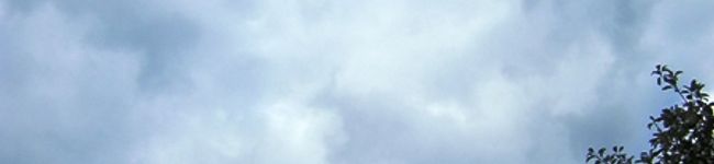 酒豪嬉嬉's header image