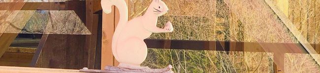 batako0722's header image