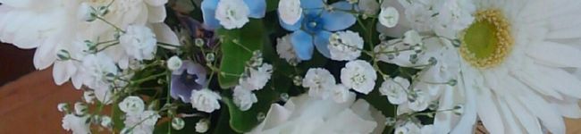 さち02♪'s header image