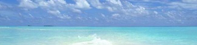miyabi329's header image