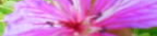 BlueMint's header image