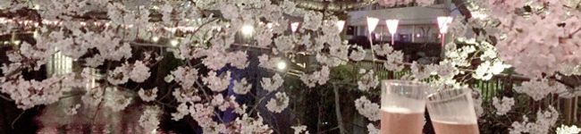 ayu♡ayu's header image