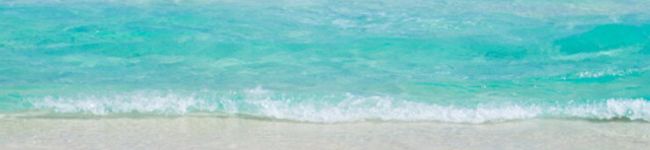 湖と冬の子のママ's header image