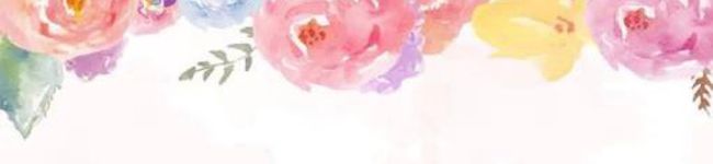 Ely___yy's header image