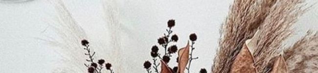 ifamirice's header image
