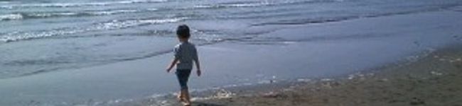 mietomo's header image