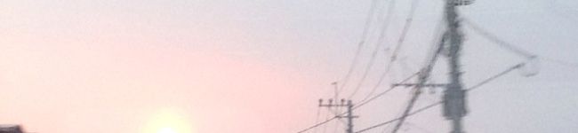 ういすきぃ's header image