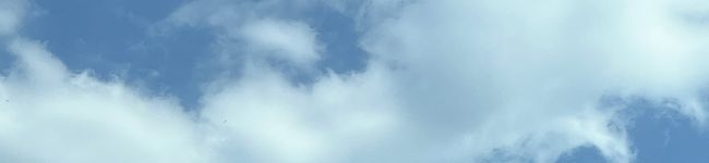 すずのめし's header image
