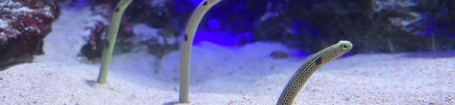 ✹✹✹MARI✹✹✹'s header image