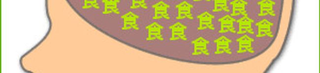 ばたこキッチン's header image