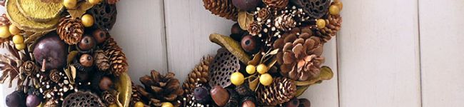 ｍａｃｏｍａｃｏ's header image