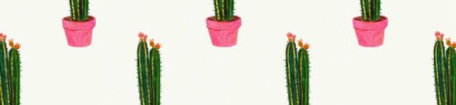 POYO0917's header image