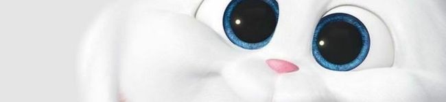 sally‎☻'s header image