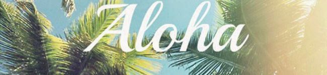 ◈ちびまむ◈'s header image