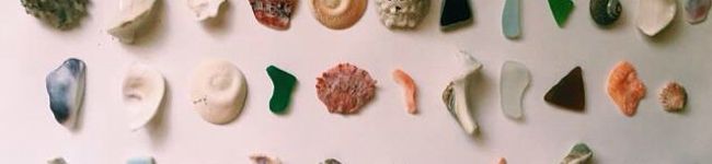 クック7QG26B☆'s header image