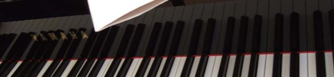 eririnn4368's header image