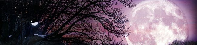 コナン4869's header image