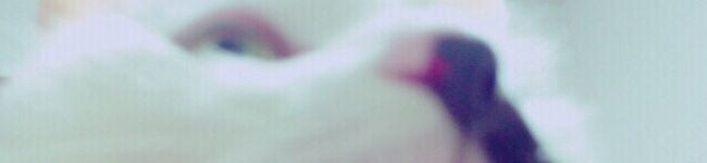 星空✡﻿Sora's header image