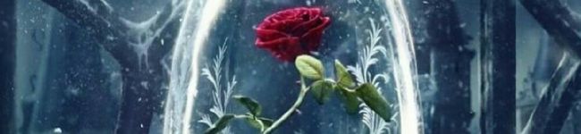 YunChanJh's header image