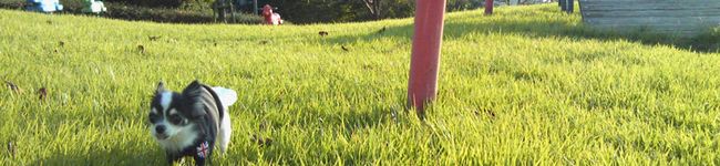 みぅゆぅママ's header image