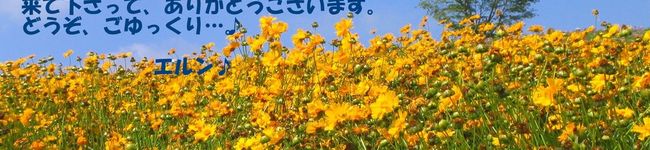 エルン♪'s header image