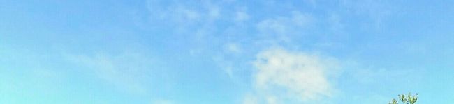 めじろ屋's header image