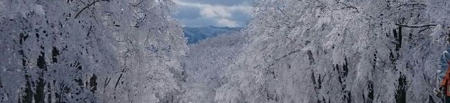 imotas831's header image