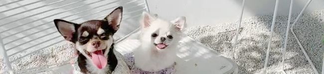 りんりんママ♡'s header image