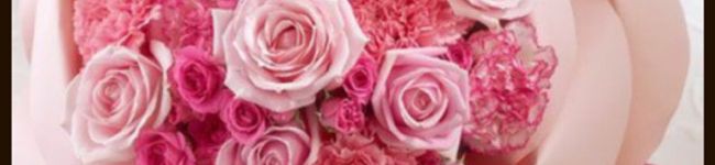 幸せ♡33's header image
