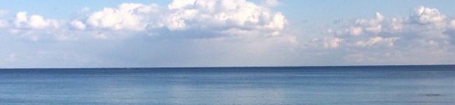 oなおo's header image