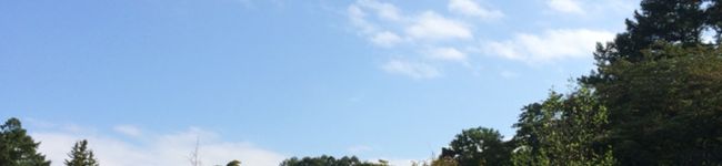 ハナ吉♪'s header image