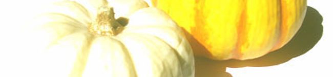ダマタン's header image