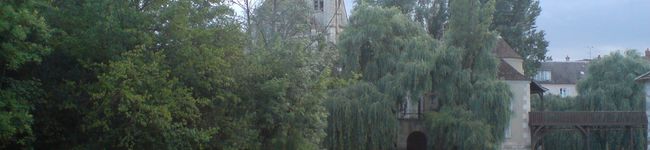 Chitoto's header image