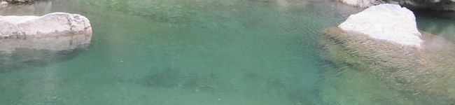 四万十川源流在住's header image