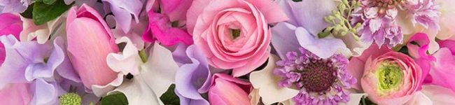 okura_k's header image