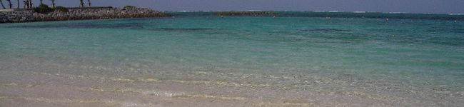 ぽるむ's header image