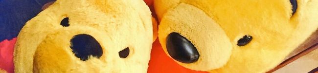 大熊猫パ〜プル's header image