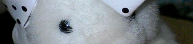 TETSU子's header image