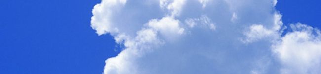 ミッチッチ's header image