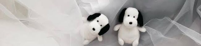 aikooohy's header image
