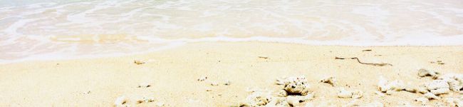 ヨーさん's header image