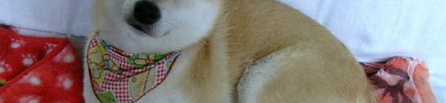 taka92's header image