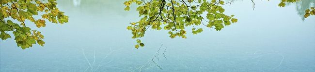 hi☆keママ's header image