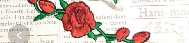 ルチア・ゆずね's header image